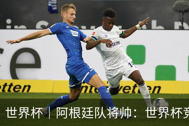 世界杯｜阿根廷队将帅：世界杯竞争越发激烈